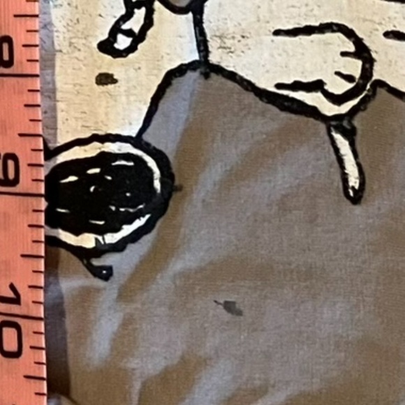 Peanuts "I Get All The Chicks" T-shirt With Joe Cool, Woodstock, & Friends - Picture 6 of 6